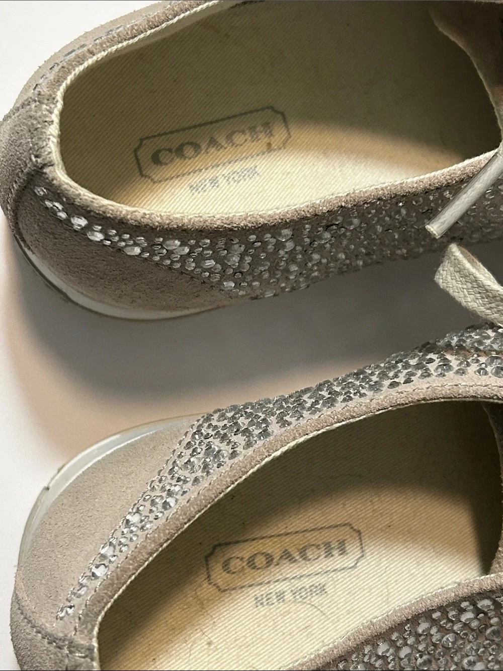 Coach low top